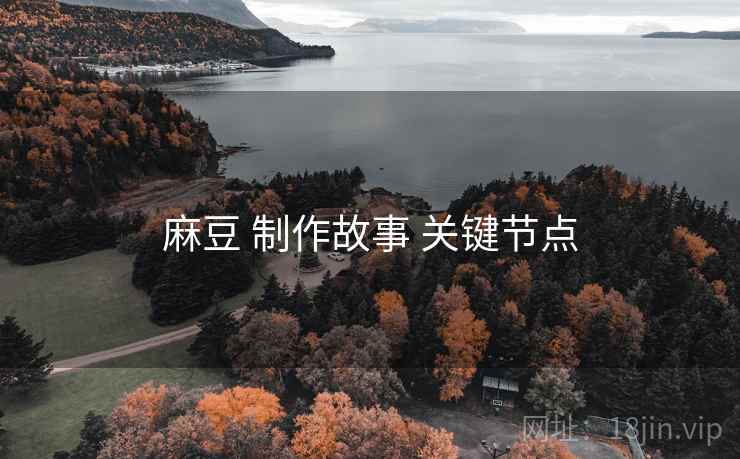 麻豆 制作故事 关键节点
