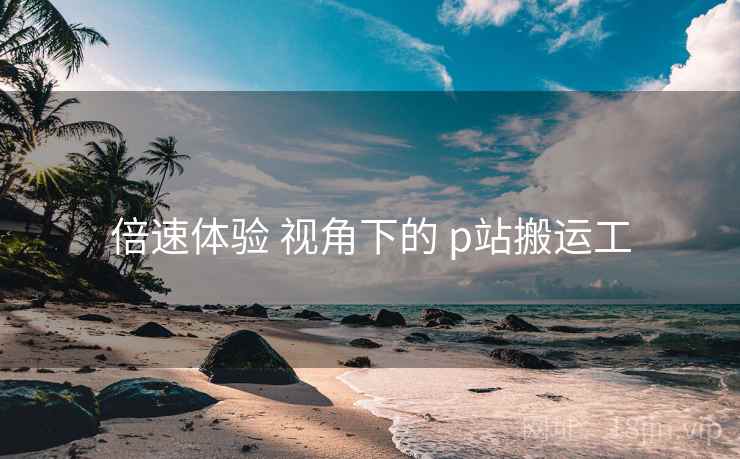 倍速体验 视角下的 p站搬运工