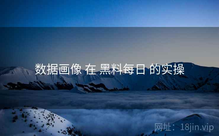 数据画像 在 黑料每日 的实操