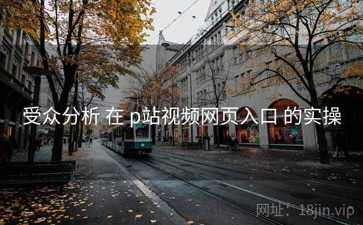 受众分析 在 p站视频网页入口 的实操