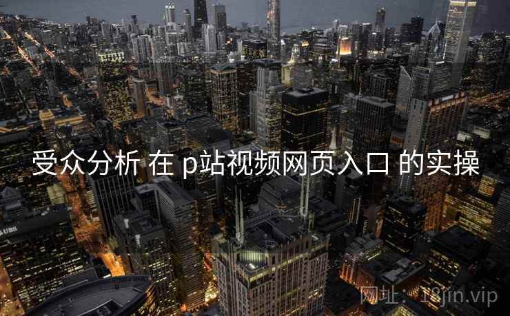 受众分析 在 p站视频网页入口 的实操