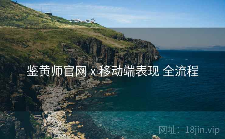 鉴黄师官网 x 移动端表现 全流程