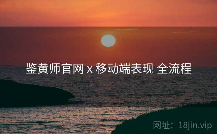 鉴黄师官网 x 移动端表现 全流程