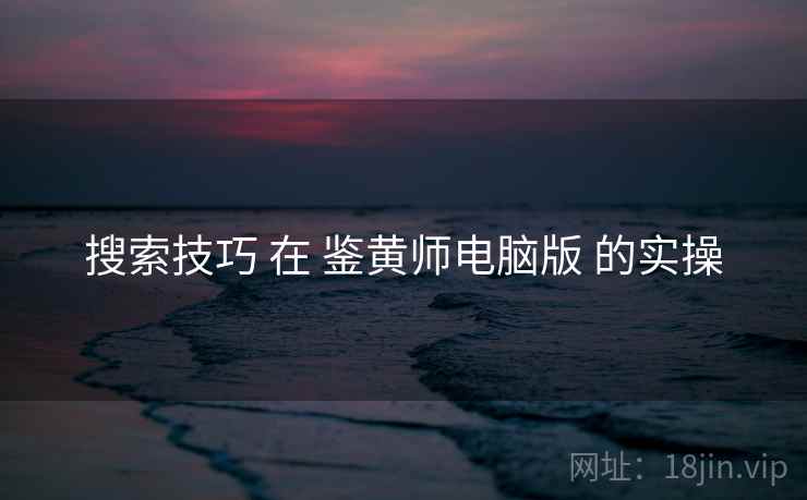 搜索技巧 在 鉴黄师电脑版 的实操