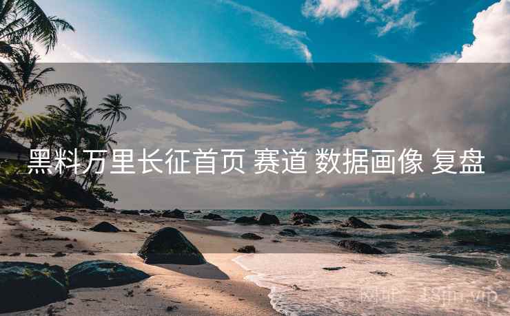 黑料万里长征首页 赛道 数据画像 复盘