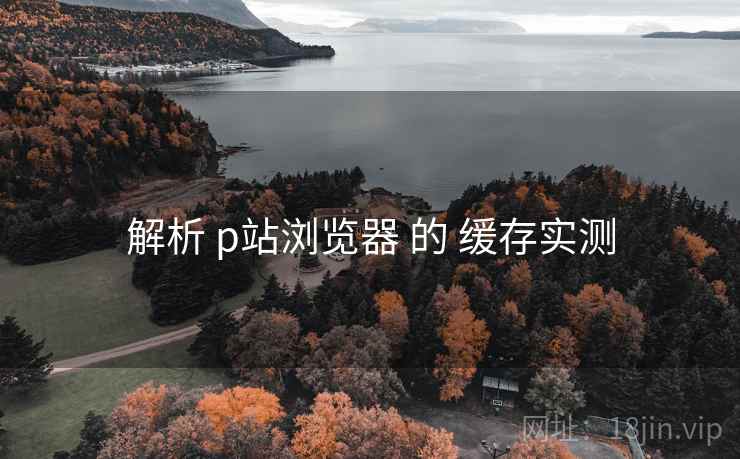 解析 p站浏览器 的 缓存实测