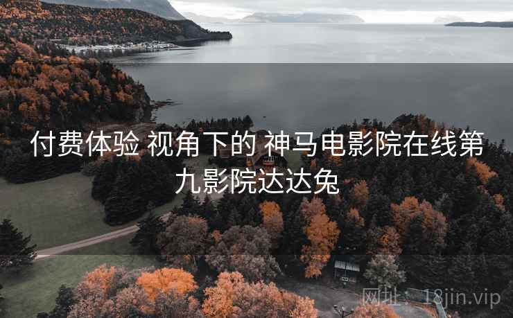 付费体验 视角下的 神马电影院在线第九影院达达兔
