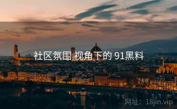 社区氛围 视角下的 91黑料