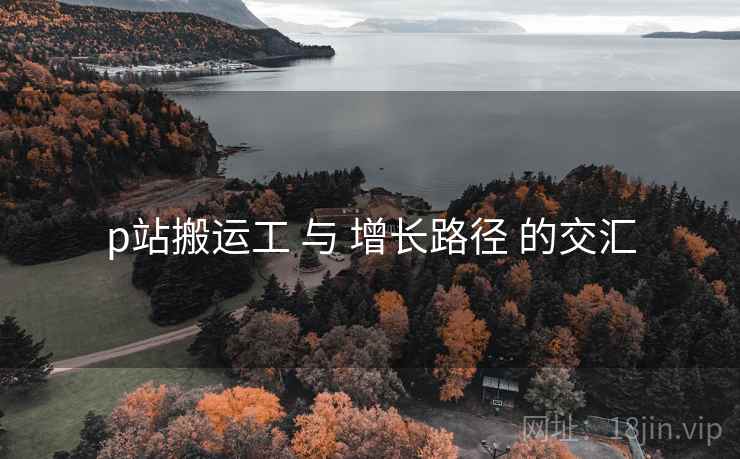 p站搬运工 与 增长路径 的交汇