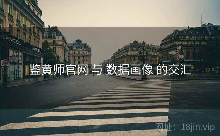 鉴黄师官网 与 数据画像 的交汇