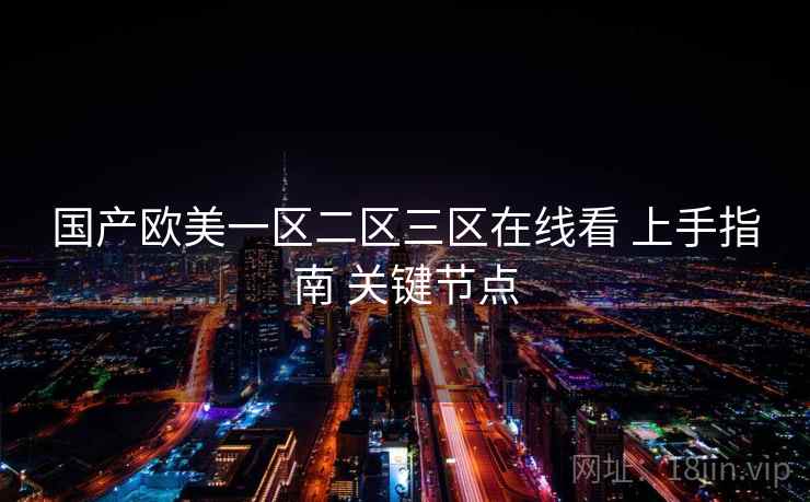 国产欧美一区二区三区在线看 上手指南 关键节点