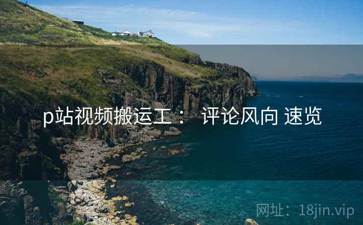 p站视频搬运工 ： 评论风向 速览