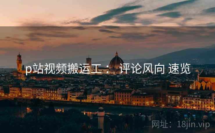 p站视频搬运工 ： 评论风向 速览