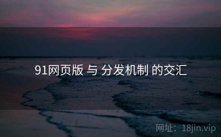 91网页版 与 分发机制 的交汇