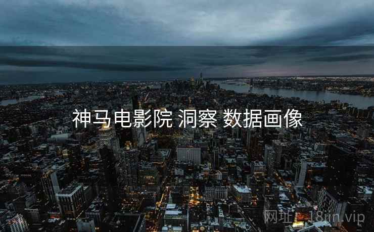 神马电影院 洞察 数据画像