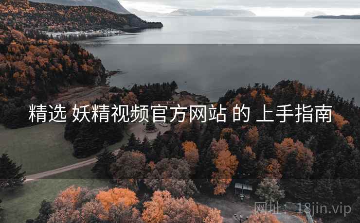 精选 妖精视频官方网站 的 上手指南