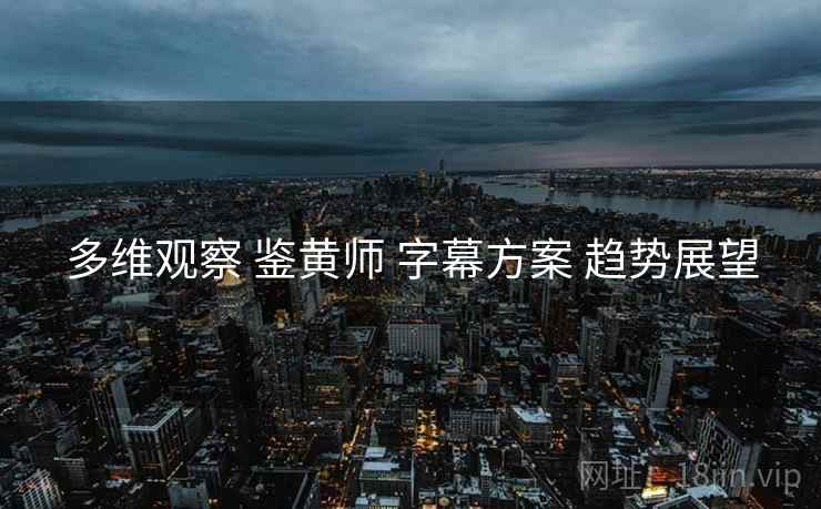多维观察 鉴黄师 字幕方案 趋势展望
