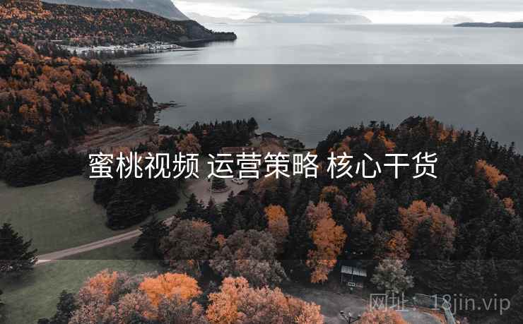 蜜桃视频 运营策略 核心干货