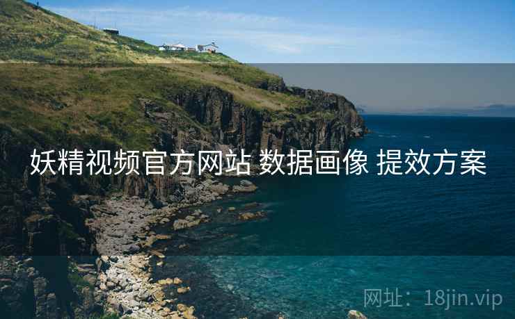 妖精视频官方网站 数据画像 提效方案