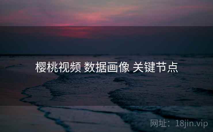 樱桃视频 数据画像 关键节点