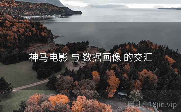 神马电影 与 数据画像 的交汇