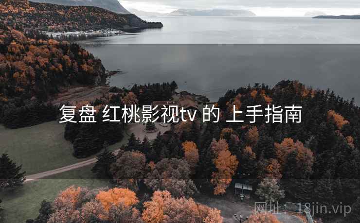 复盘 红桃影视tv 的 上手指南
