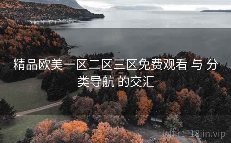 精品欧美一区二区三区免费观看 与 分类导航 的交汇