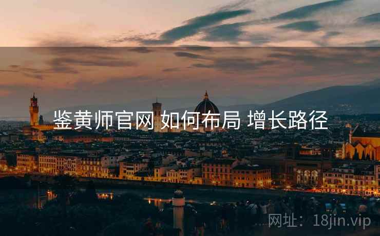 鉴黄师官网 如何布局 增长路径