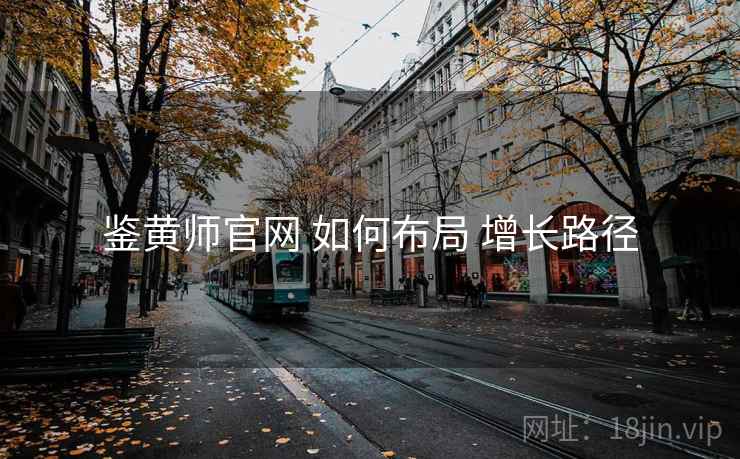 鉴黄师官网 如何布局 增长路径