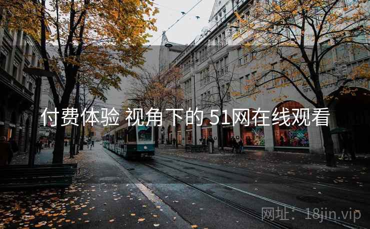 付费体验 视角下的 51网在线观看